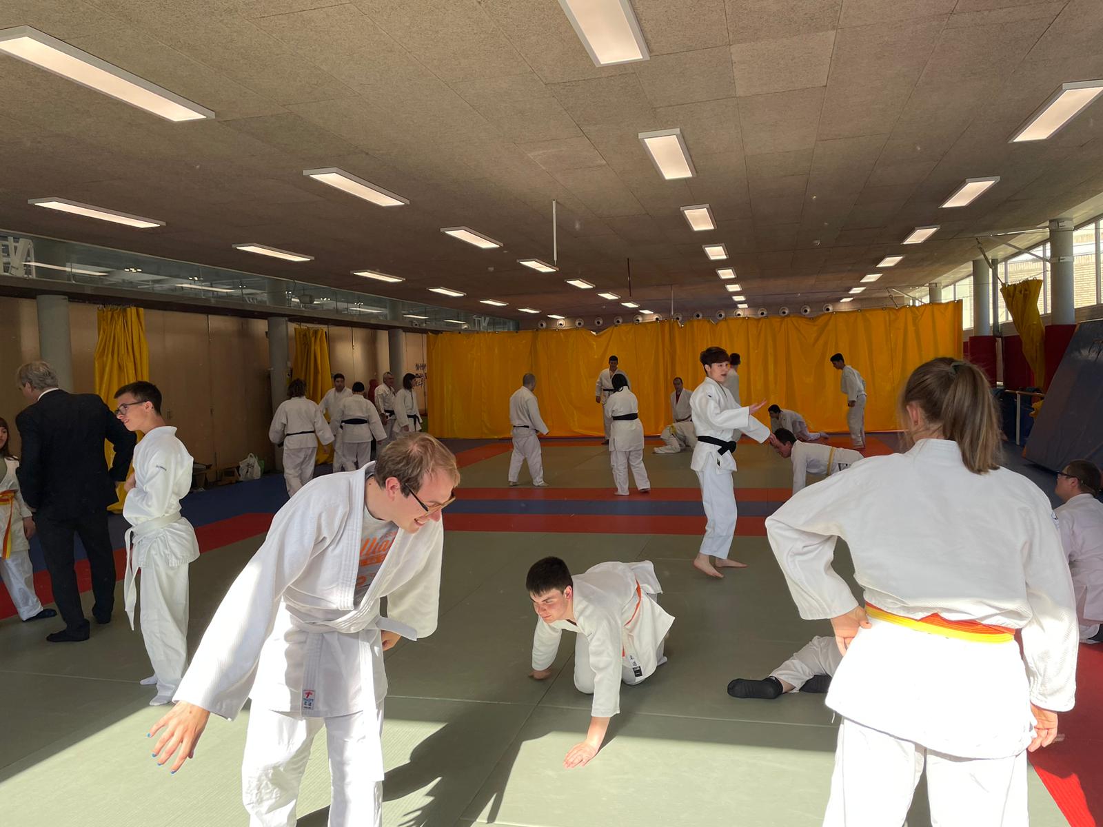 Todo un éxito el entrenamiento previo al II Torneo Navarro de Judo Adaptado que se realizó en Pamplona el 20-04-24